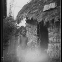 http://lbry-web-002.amnh.org/san/to_upload/Beck-PapuaNewGuinea/NG-5x7-negs/115567.jpg