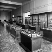 http://images.library.amnh.org/d/t/8x10/0001/00031478_l.jpg