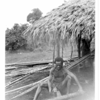 http://lbry-web-002.amnh.org/san/to_upload/Beck-PapuaNewGuinea/NG-5x7-prints/115542.jpg