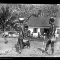 http://lbry-web-002.amnh.org/san/to_upload/Beck-PapuaNewGuinea/W-4x5-negs/281465.jpg