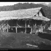 http://lbry-web-002.amnh.org/san/to_upload/Beck-PapuaNewGuinea/NG-5x7-negs/115788.jpg