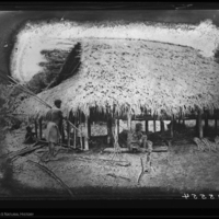 http://lbry-web-002.amnh.org/san/to_upload/Beck-PapuaNewGuinea/NG-5x7-negs/115554.jpg