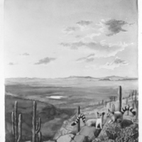 http://images.library.amnh.org/d/t/5x7/0001/00121153_l.jpg