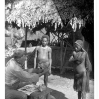 http://lbry-web-002.amnh.org/san/to_upload/Beck-PapuaNewGuinea/NG-5x7-prints/115762.jpg