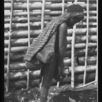 http://lbry-web-002.amnh.org/san/to_upload/Beck-PapuaNewGuinea/NG-5x7-negs/115704.jpg