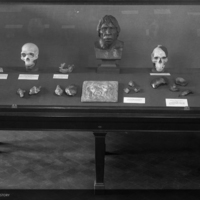 http://images.library.amnh.org/d/t/8x10/0001/00038095_l.jpg