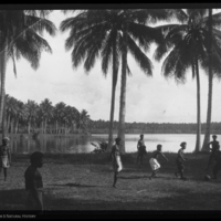 http://lbry-web-002.amnh.org/san/to_upload/Beck-PapuaNewGuinea/NG-5x7-negs/115670.jpg