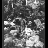 http://lbry-web-002.amnh.org/san/to_upload/Beck-PapuaNewGuinea/W-4x5-negs/272949.jpg