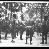 http://lbry-web-002.amnh.org/san/to_upload/Beck-PapuaNewGuinea/NG-5x7-negs/115657.jpg