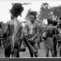 http://lbry-web-002.amnh.org/san/to_upload/Beck-PapuaNewGuinea/NG-5x7-prints/115647.jpg