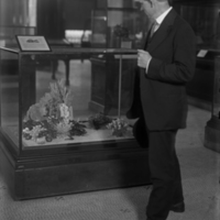 http://images.library.amnh.org/d/t/5x7/0001/00019996_l.jpg