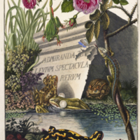 Frontispiece with fire newt, sand lizard, and frogs from Rösel von Rosenhof's Historia naturalis ranarum nostratium