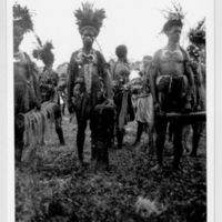 http://lbry-web-002.amnh.org/san/to_upload/Beck-PapuaNewGuinea/NG-5x7-prints/115689.jpg