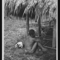 http://lbry-web-002.amnh.org/san/to_upload/Beck-PapuaNewGuinea/NG-5x7-negs/117441.jpg