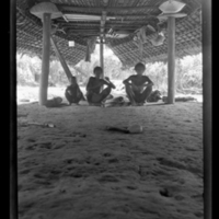 http://lbry-web-002.amnh.org/san/to_upload/Beck-PapuaNewGuinea/W-4x5-negs/273226.jpg
