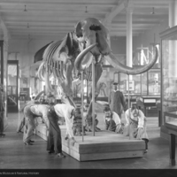 http://images.library.amnh.org/d/t/8x10/0001/00031739_l.jpg