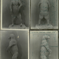 Bear, clay model with measurements, photographs mounted to card, for use in Alaska Brown Bear Group, Hall of North American Mammals