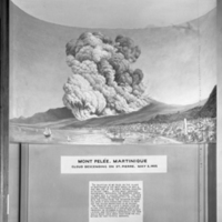 http://images.library.amnh.org/d/t/4x5/0001/00293065_l.jpg