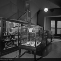 http://images.library.amnh.org/d/t/8x10/0002/00326946_l.jpg