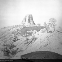 http://images.library.amnh.org/d/t/8x10/0002/00318992_l.jpg