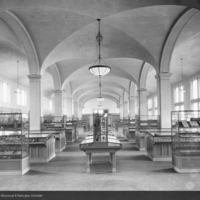 http://images.library.amnh.org/d/t/8x10/0002/00039592_l.jpg
