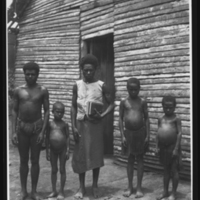 http://lbry-web-002.amnh.org/san/to_upload/Beck-PapuaNewGuinea/NG-5x7-prints/117439.jpg