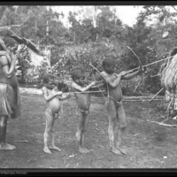 http://lbry-web-002.amnh.org/san/to_upload/Beck-PapuaNewGuinea/NG-5x7-negs/117459.jpg