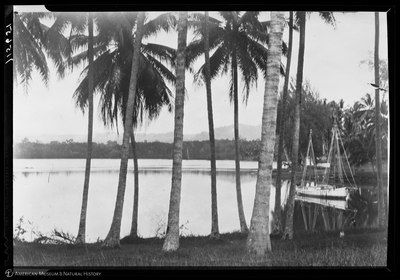 http://lbry-web-002.amnh.org/san/to_upload/Beck-PapuaNewGuinea/NG-5x7-negs/115651.jpg