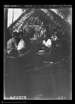 http://lbry-web-002.amnh.org/san/to_upload/Beck-PapuaNewGuinea/W-4x5-negs/273224.jpg