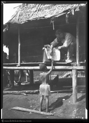 http://lbry-web-002.amnh.org/san/to_upload/Beck-PapuaNewGuinea/NG-5x7-negs/117458.jpg