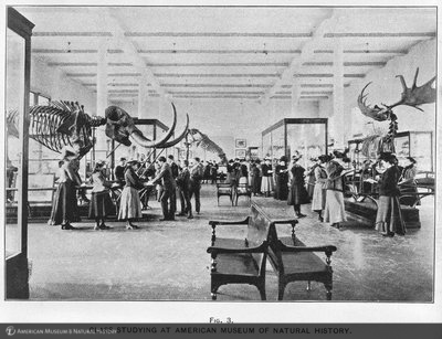http://images.library.amnh.org/d/t/4x5/0001/00286913_l.jpg