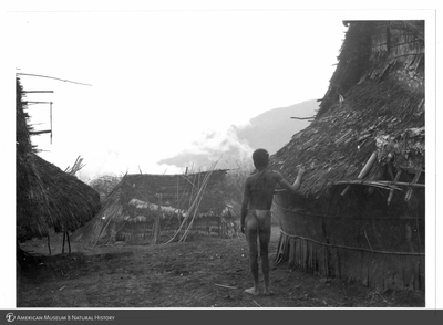 http://lbry-web-002.amnh.org/san/to_upload/Beck-PapuaNewGuinea/NG-5x7-prints/115734.jpg