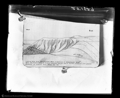 http://lbry-web-002.amnh.org/san/to_upload/asiaticexpedition/251829.jpg
