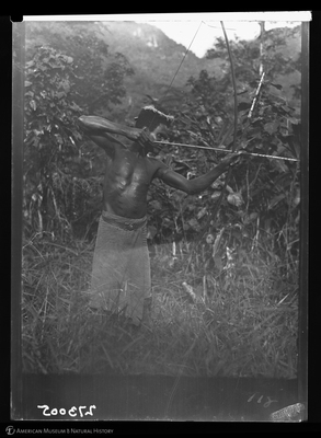 http://lbry-web-002.amnh.org/san/to_upload/Beck-PapuaNewGuinea/W-4x5-negs/273005.jpg