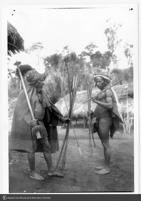 http://lbry-web-002.amnh.org/san/to_upload/Beck-PapuaNewGuinea/NG-5x7-prints/115715.jpg