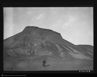 http://lbry-web-002.amnh.org/san/to_upload/asiaticexpedition/251653.jpg