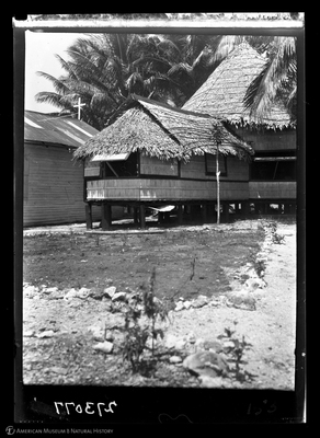 http://lbry-web-002.amnh.org/san/to_upload/Beck-PapuaNewGuinea/W-4x5-negs/273077.jpg