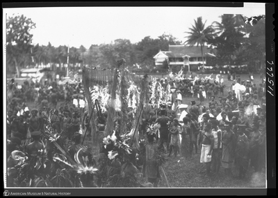 http://lbry-web-002.amnh.org/san/to_upload/Beck-PapuaNewGuinea/NG-5x7-negs/115666.jpg