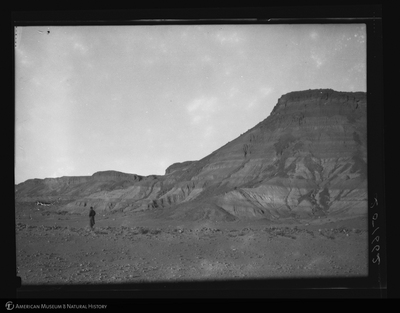 http://lbry-web-002.amnh.org/san/to_upload/asiaticexpedition/251662.jpg