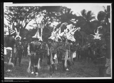 http://lbry-web-002.amnh.org/san/to_upload/Beck-PapuaNewGuinea/NG-5x7-negs/115659.jpg