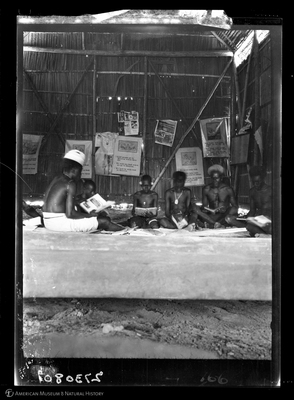 http://lbry-web-002.amnh.org/san/to_upload/Beck-PapuaNewGuinea/W-4x5-negs/273080.jpg