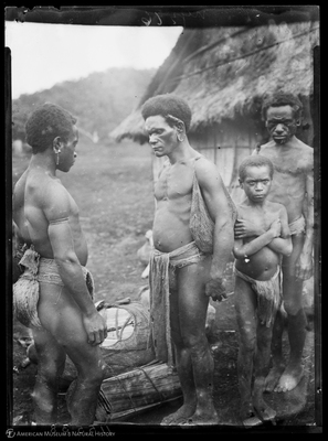 http://lbry-web-002.amnh.org/san/to_upload/Beck-PapuaNewGuinea/NG-5x7-negs/115538.jpg