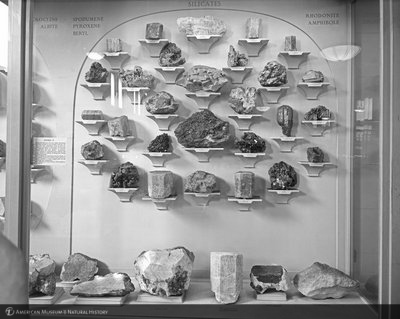 http://images.library.amnh.org/d/t/8x10/0002/00321038_l.jpg