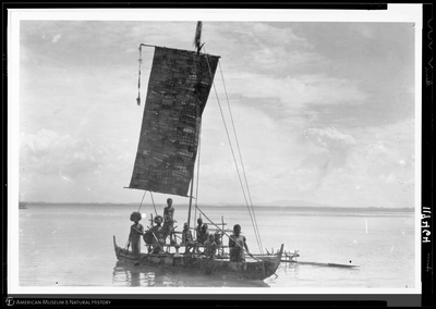 http://lbry-web-002.amnh.org/san/to_upload/Beck-PapuaNewGuinea/NG-5x7-negs/117464.jpg
