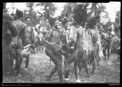 http://lbry-web-002.amnh.org/san/to_upload/Beck-PapuaNewGuinea/NG-5x7-negs/115654.jpg