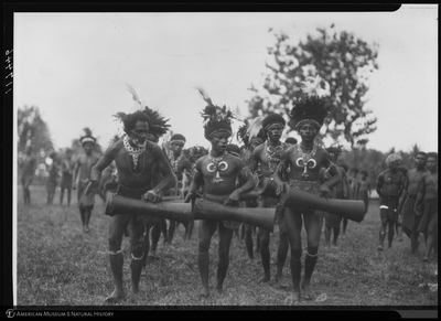http://lbry-web-002.amnh.org/san/to_upload/Beck-PapuaNewGuinea/NG-5x7-negs/117446.jpg