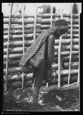 http://lbry-web-002.amnh.org/san/to_upload/Beck-PapuaNewGuinea/NG-5x7-negs/115704.jpg