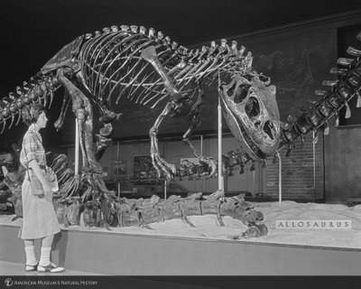 http://images.library.amnh.org/d/t/8x10/0002/00326556_l.jpg