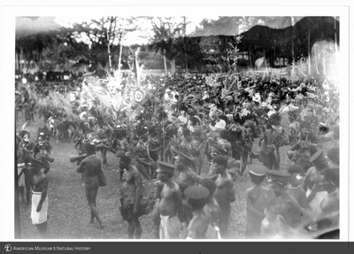 http://lbry-web-002.amnh.org/san/to_upload/Beck-PapuaNewGuinea/NG-5x7-prints/115686.jpg