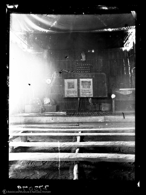 http://lbry-web-002.amnh.org/san/to_upload/Beck-PapuaNewGuinea/W-4x5-negs/273079.jpg